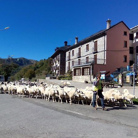 Linás de Broto Albergue El Ultimo Bucardo旅舍 外观 照片