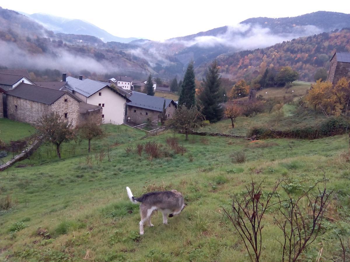 Linás de Broto Albergue El Ultimo Bucardo旅舍 外观 照片