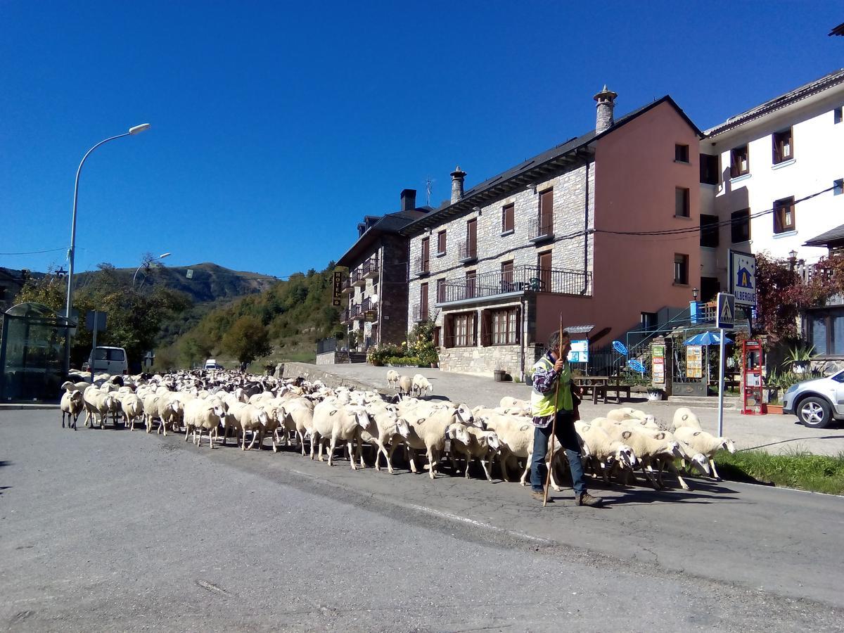 Linás de Broto Albergue El Ultimo Bucardo旅舍 外观 照片