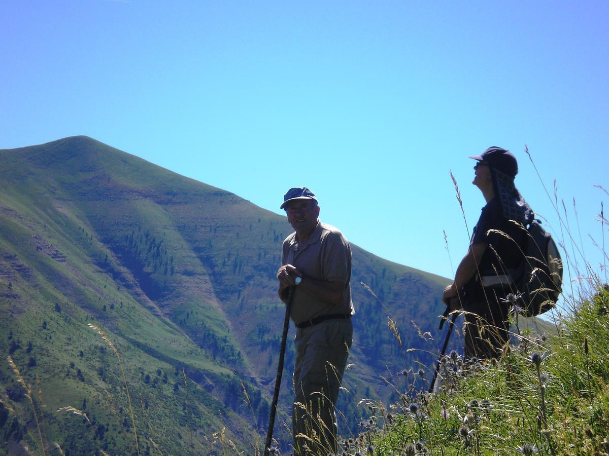 Linás de Broto Albergue El Ultimo Bucardo旅舍 外观 照片